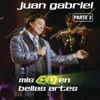 Juan Gabriel - Por Qué Me Haces Llorar