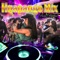 Huapango Mix Para Bailar - DJ Moys lyrics