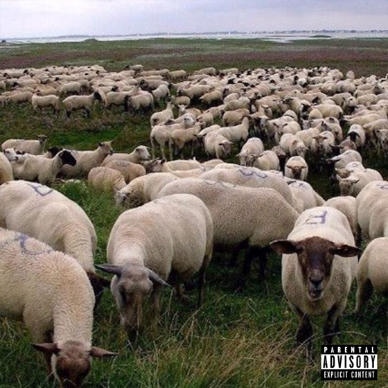 Cover artwork for Black Beard