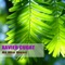 Daiquiri - Xavier Cugat lyrics