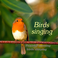 Auge Espiritual - Birds Singing Peaceful Morning Birds Chirping artwork