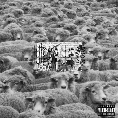 Grey Sheep II - $uicideboy$