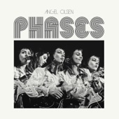 Fly On Your Wall by Angel Olsen