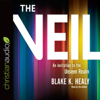 Blake K. Healy - The Veil: An Invitation to the Unseen Realm artwork