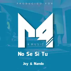 No Se Si Tu - Single - Nando No Se Si Tu - Single - Nando