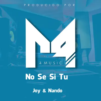 No Se Si Tu - Single - Nando