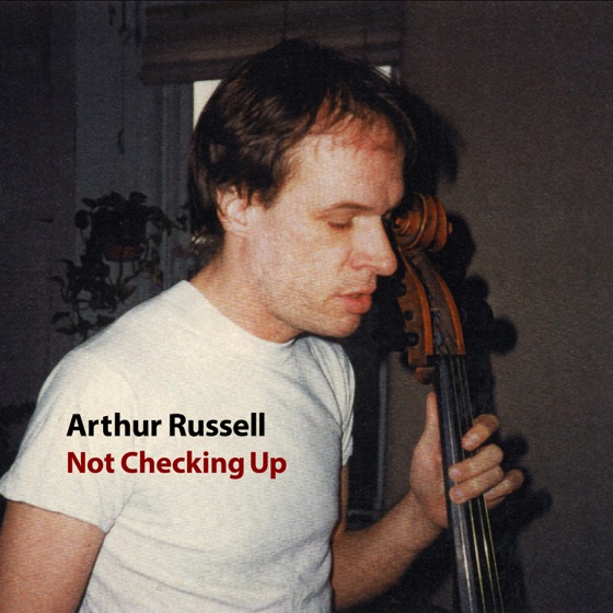 Cover artwork for Not Checking Up