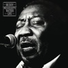 Muddy Waters - She's Nineteen Years Old