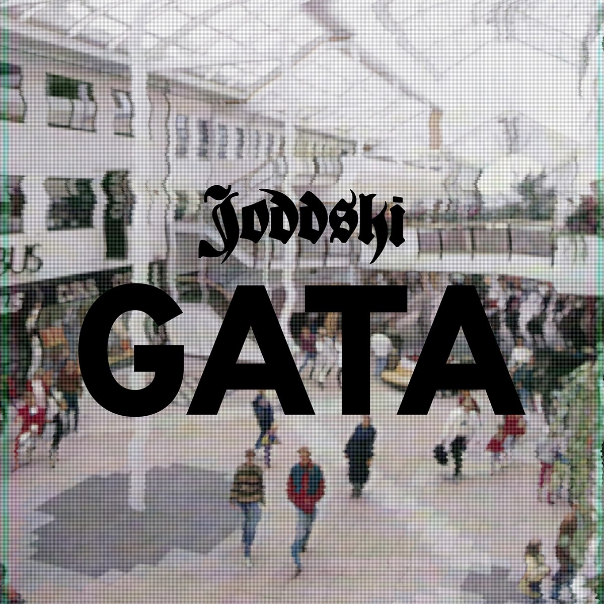 Транскрипция песни gata only