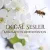 Doğal Sesler – Rahatlayın ve Meditasyon Için, Yağmur, Kuş Sesleri, Okyanus Dalgaları, Şelale ve Nehir Sesleri, Sakinlik ve Uyum album lyrics, reviews, download