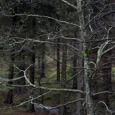 Favourite Son - Single - Drenge