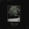 Stream & download Shake - Single