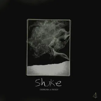 Shake - Single by Holly & Debroka album reviews, ratings, credits