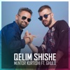 Qelim Shishe - Single