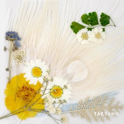 Taeyang - EMPTY ROAD