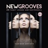 New Grooves, Vol. 2 (25 Funky Lounge & Electronica)