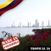 Made In Colombia / Tropical / 36