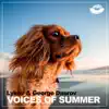 Stream & download Voices of Summer - Single