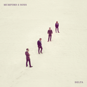 Delta cover