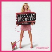 Legally Blonde Cast - What You Want