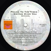 Praise to the Vibes (Mr. Fingers Alternate Version) artwork