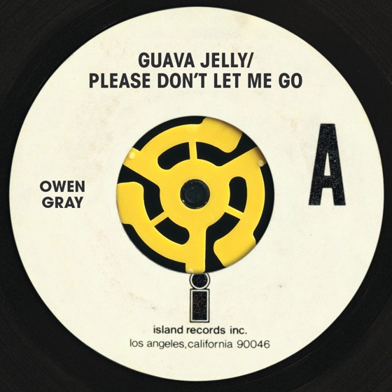 Cover artwork for Guava Jelly