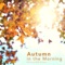 Acorns Aground - Relaxing BGM Project lyrics