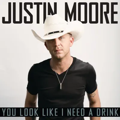 You Look Like I Need a Drink - Single - Justin Moore