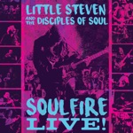 Little Steven & The Disciples of Soul - Down and Out In New York City