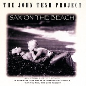 John Tesh - The Way It Is