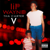 Lil Wayne - Let It Fly (feat. Travis Scott) artwork