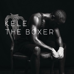 THE BOXER cover art