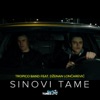 Sinovi Tame (feat. Dženan Lončarević) - Single