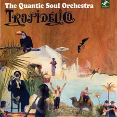 Tropidelico by The Quantic Soul Orchestra album reviews, ratings, credits