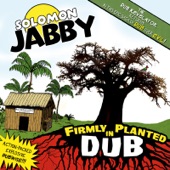 Firmly Planted in Dub artwork