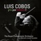Jarabe Mexicano - Luis Cobos, Royal Philharmonic Orchestra & Mariachi Juvenil Tecalitlan lyrics