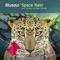 Space Rain - Blusoul lyrics