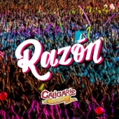 Razón (En Vivo) artwork