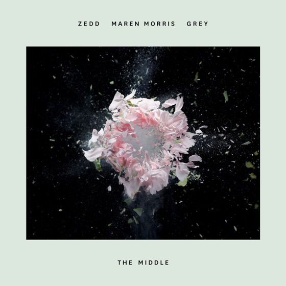 Cover artwork for The Middle