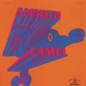 Sopwith Camel - Frantic Desolation