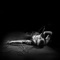 Reckoning Song (One Day) [Acoustic Version] - Asaf Avidan lyrics
