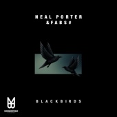 Blackbirds (Bedran. Remix) artwork