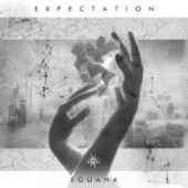 Expectation artwork