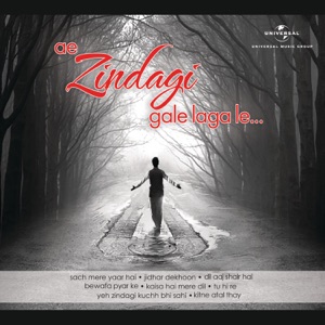 Ae Zindagi Gale Laga Le