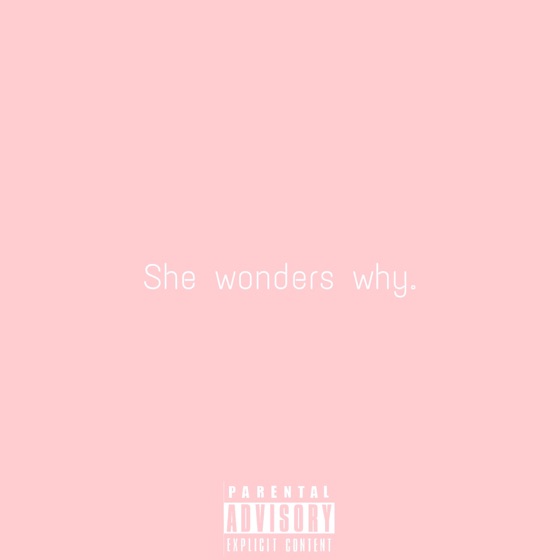 Cover artwork for She Wonders Why