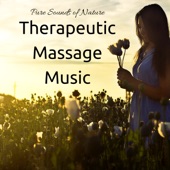 Therapeutic Massage Music artwork