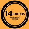 14 Éxitos