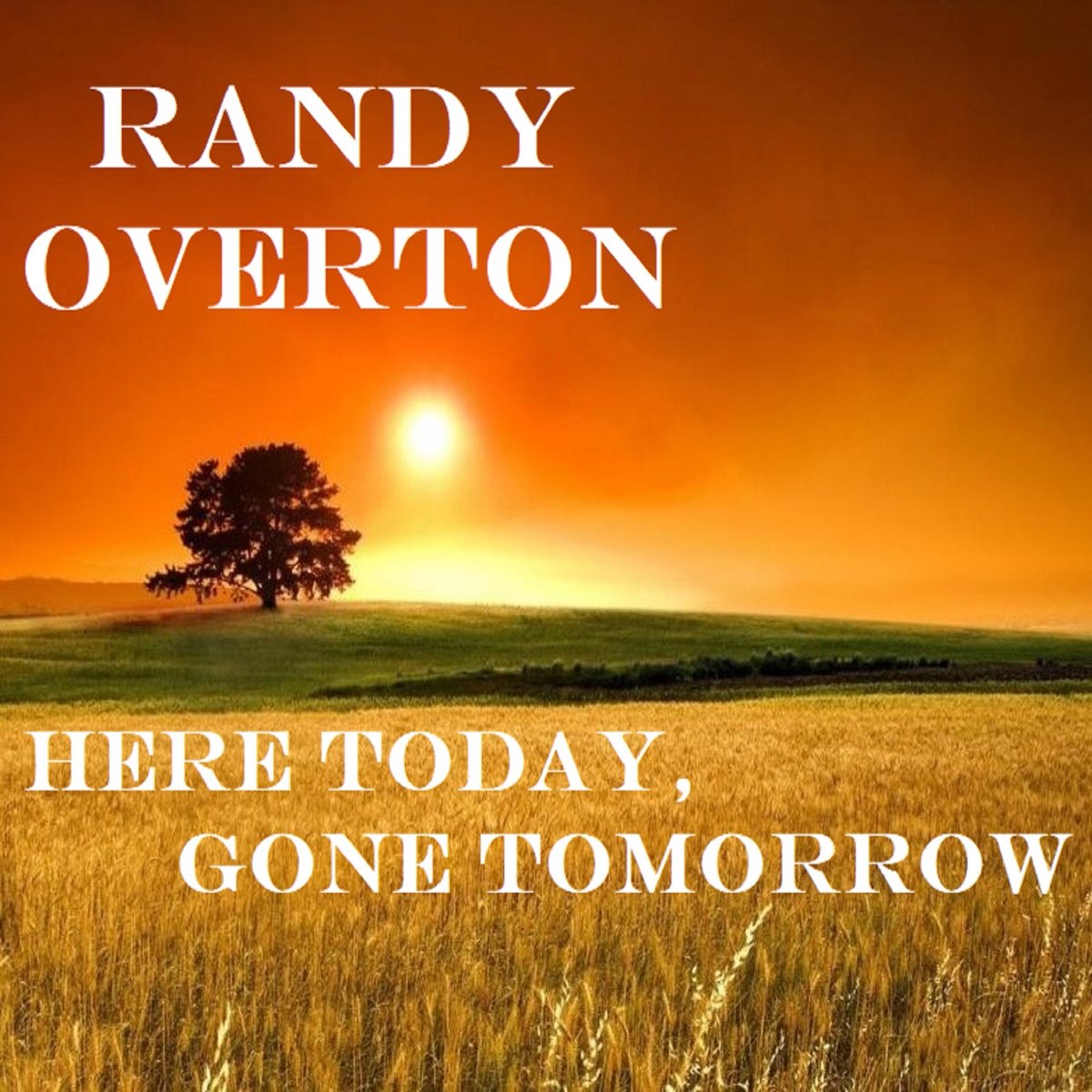 Here Today Gone Tomorrow Single By Randy Overton On Apple Music