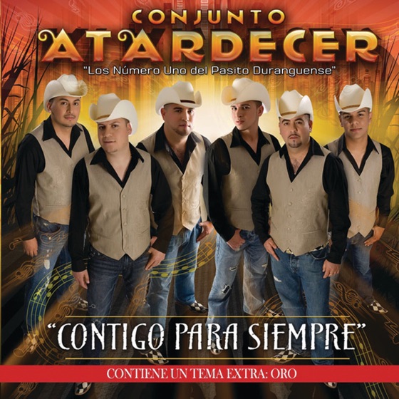 Cover artwork for Enamorado Por Primera Vez