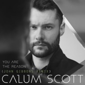 You Are the Reason (John Gibbons Remix) artwork